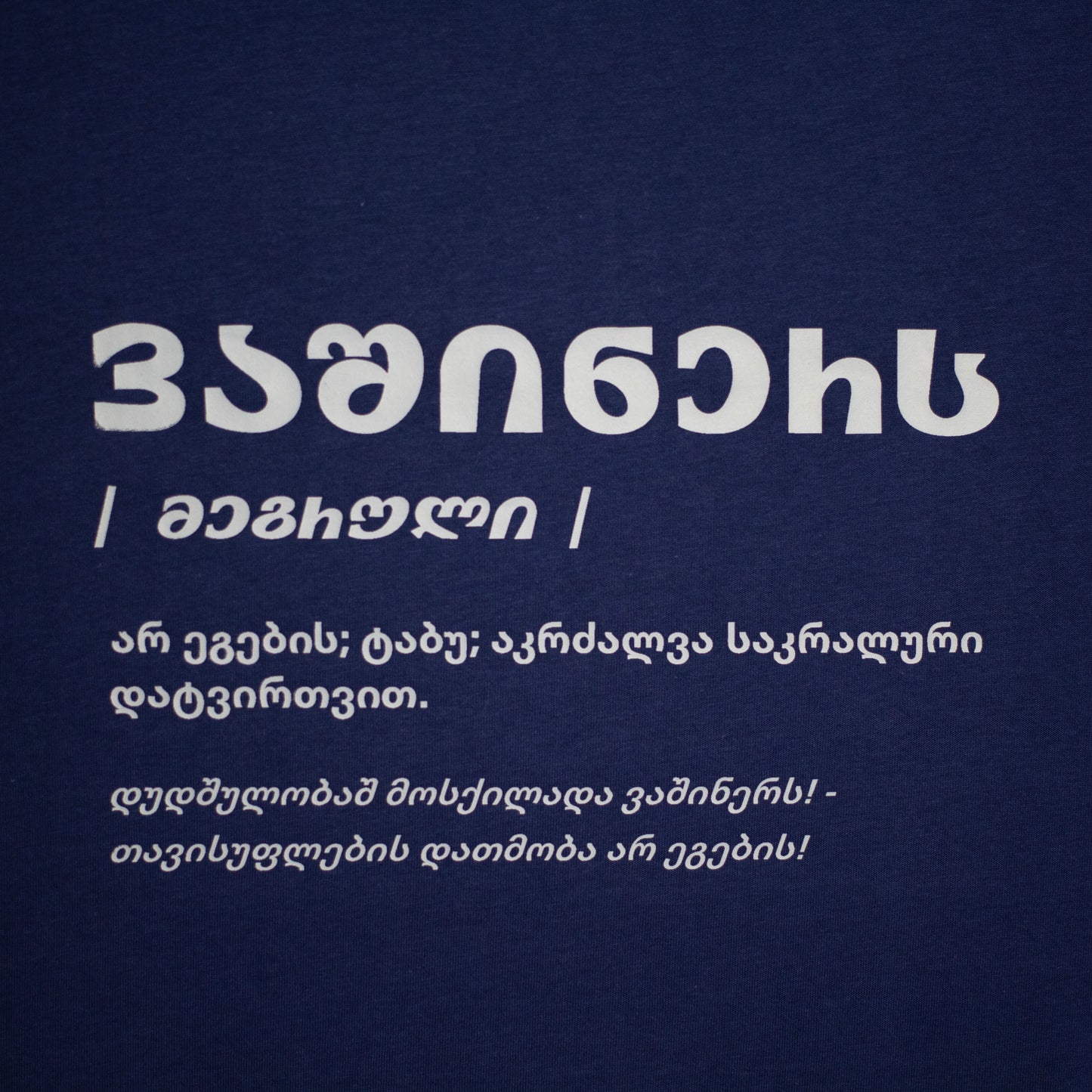 Close-up of the white Vashiners definition printed on navy blue fabric