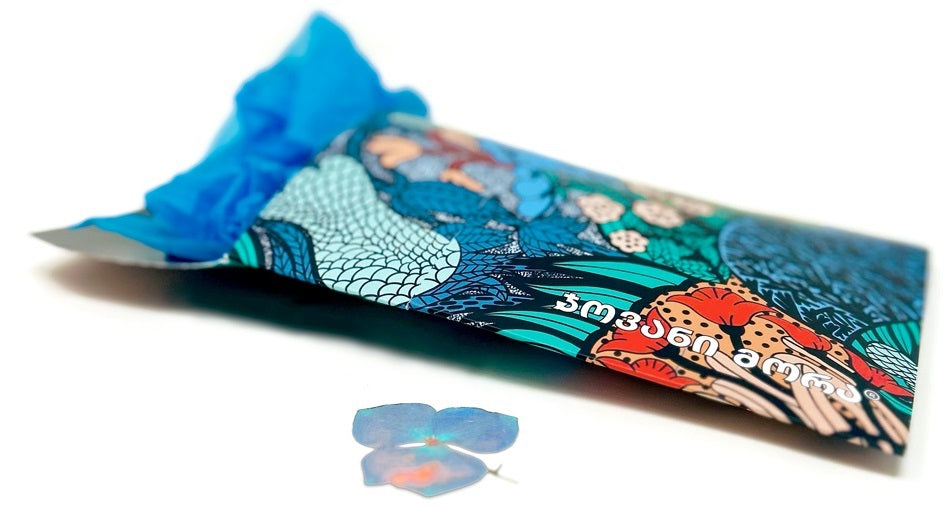 Passport Holders - Vegan  Leather - Strawberries - Sky Blue - White